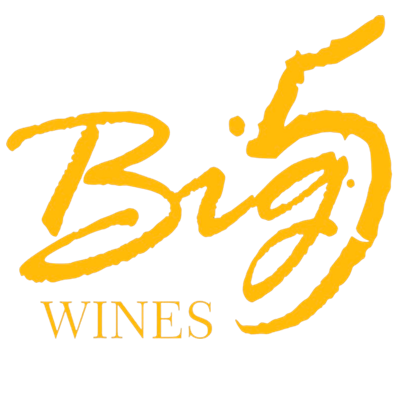 Big 5 Logo